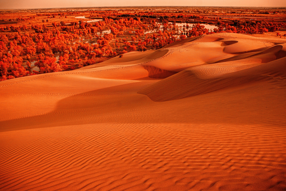 Africa