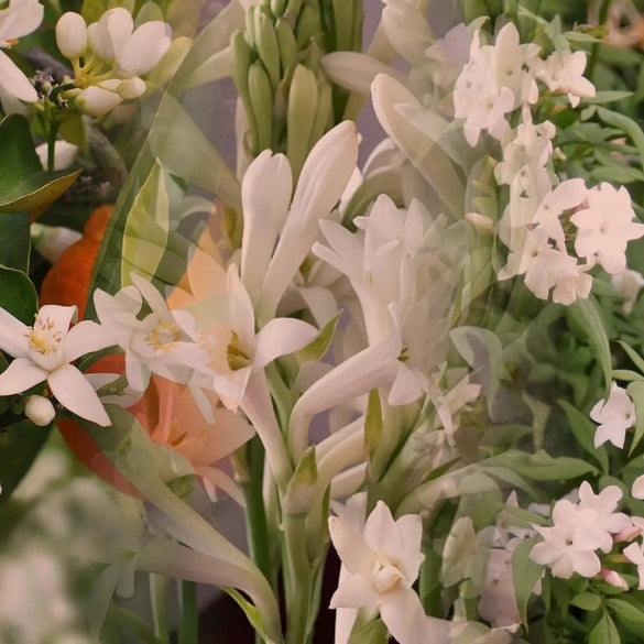 Florale