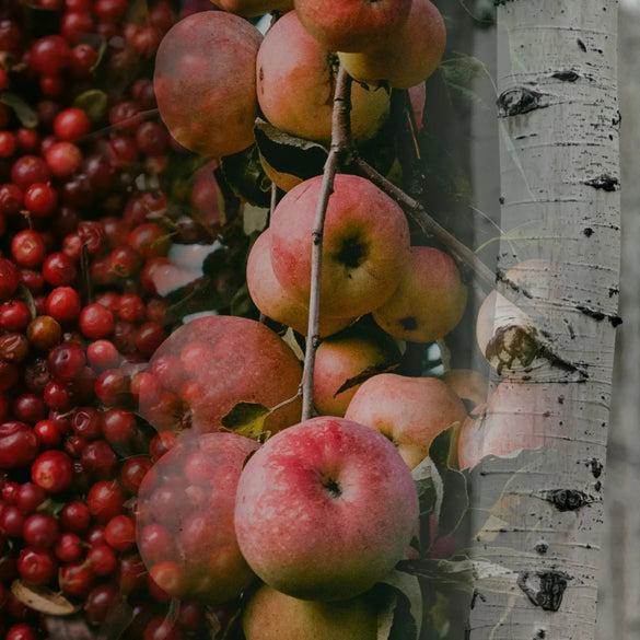Lingonberry