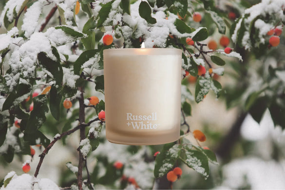 Winter Scents