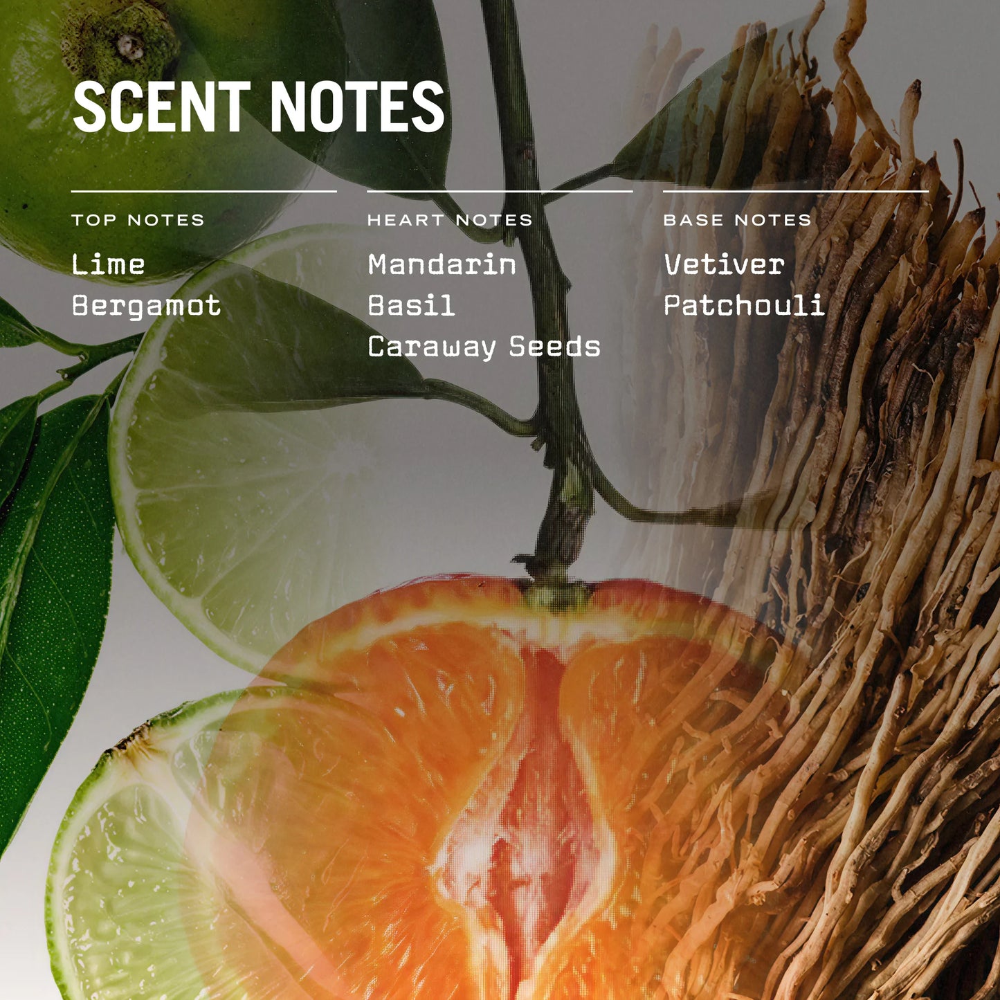 Citrico Hand & Body Wash