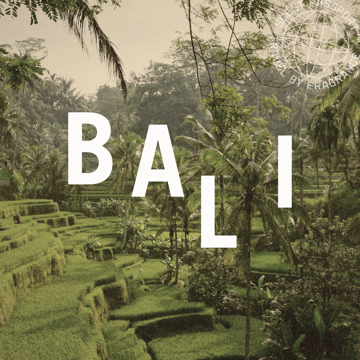 AUGUST25 Scented Candle