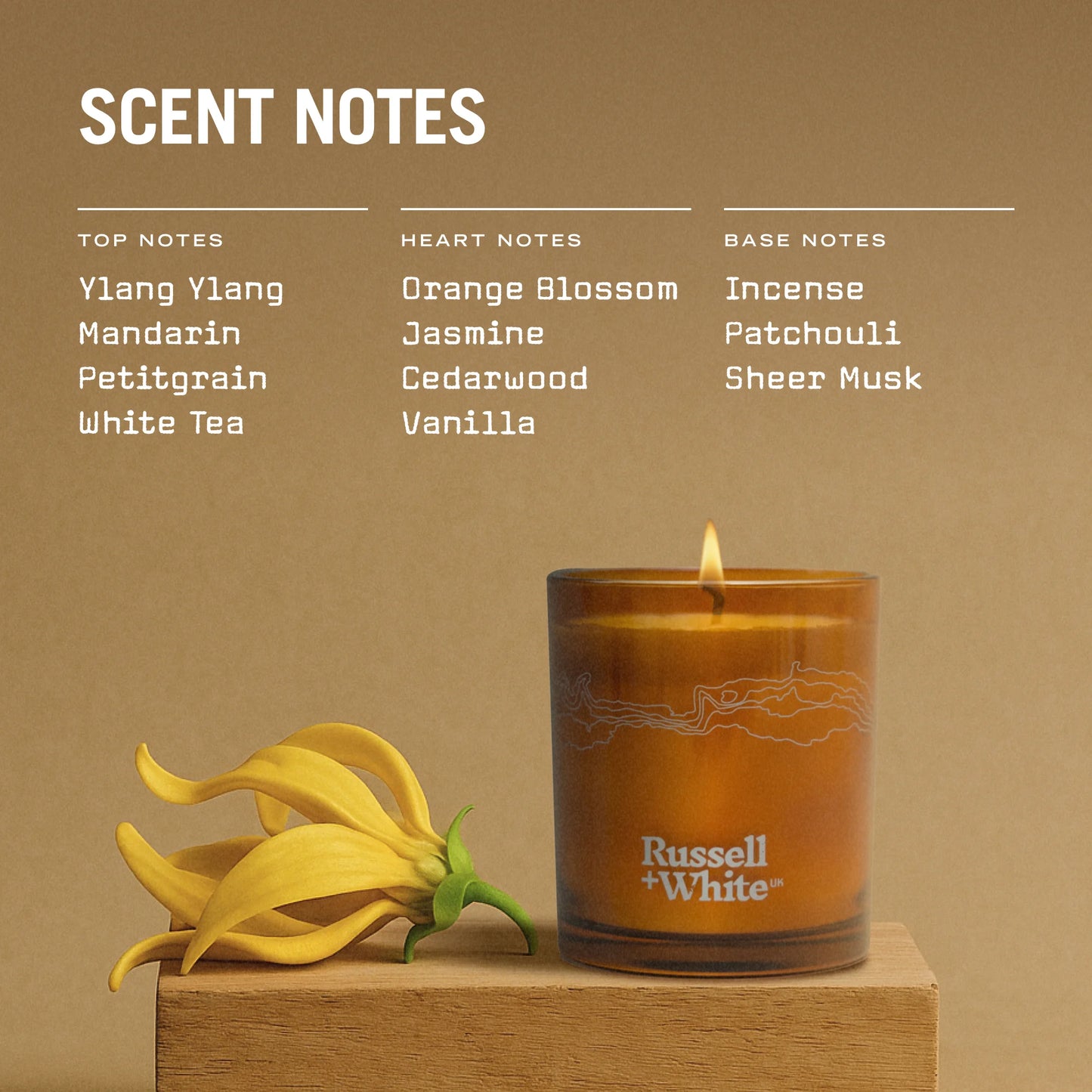 Scent Passport™