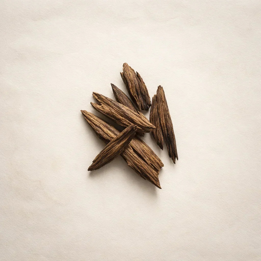 What is oud? A guide to the scent, the wood, and why it works so beautifully in home fragrance