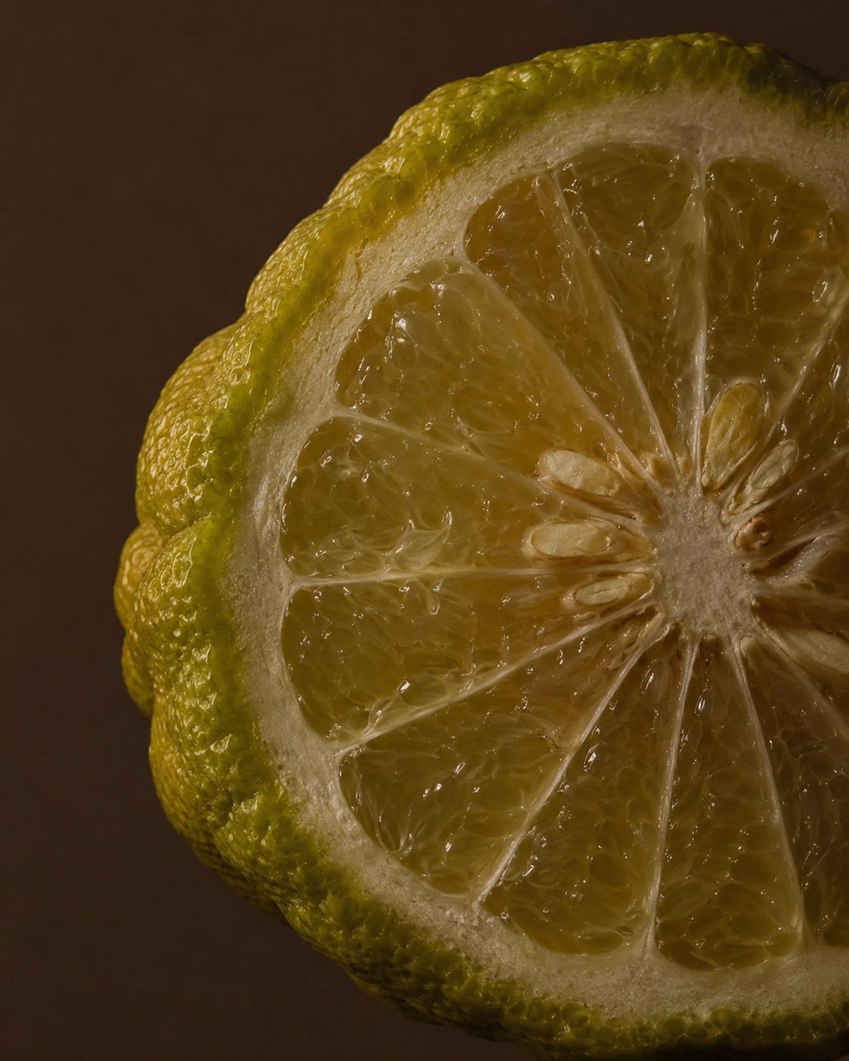 Fresh + Citrus