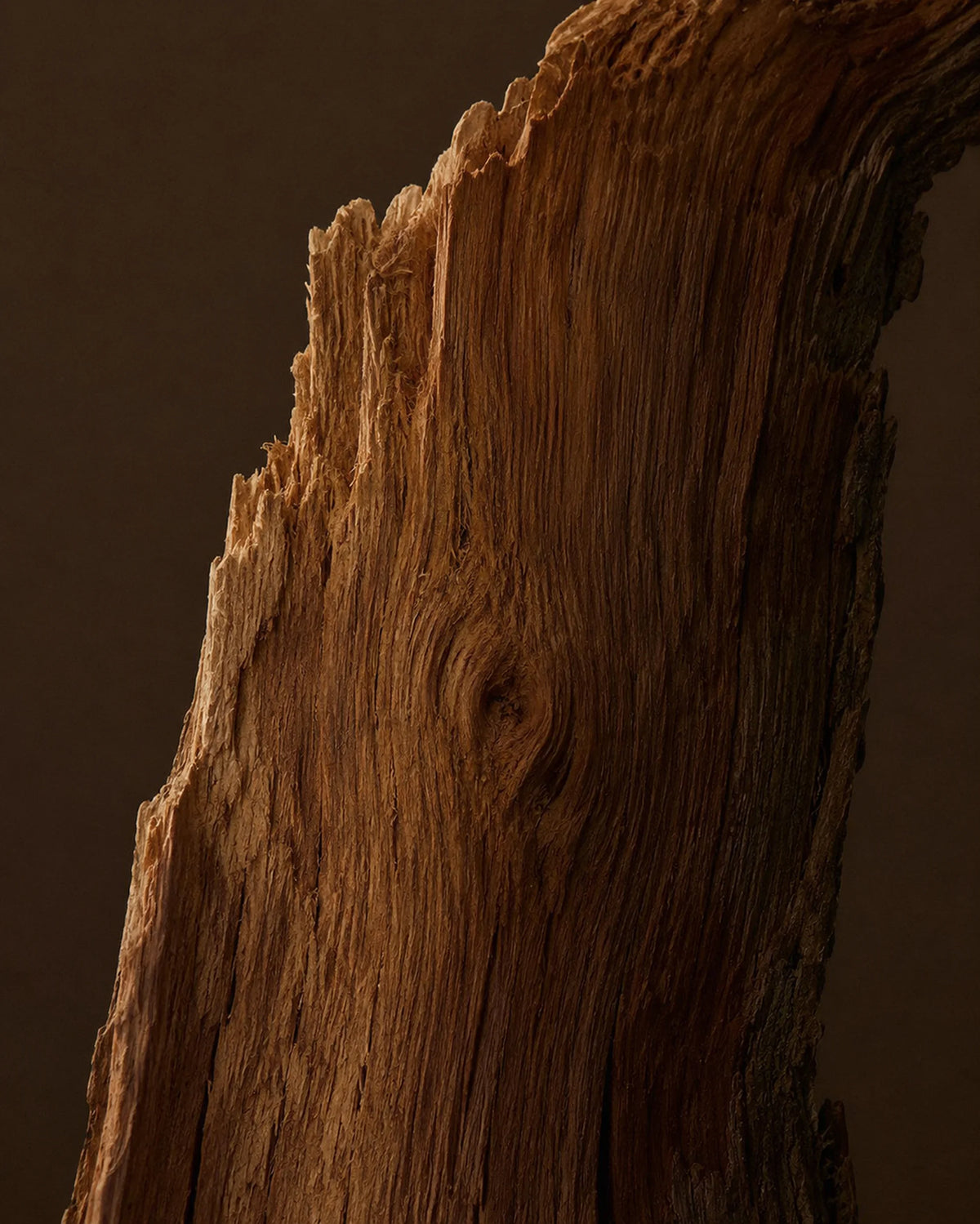 Woody