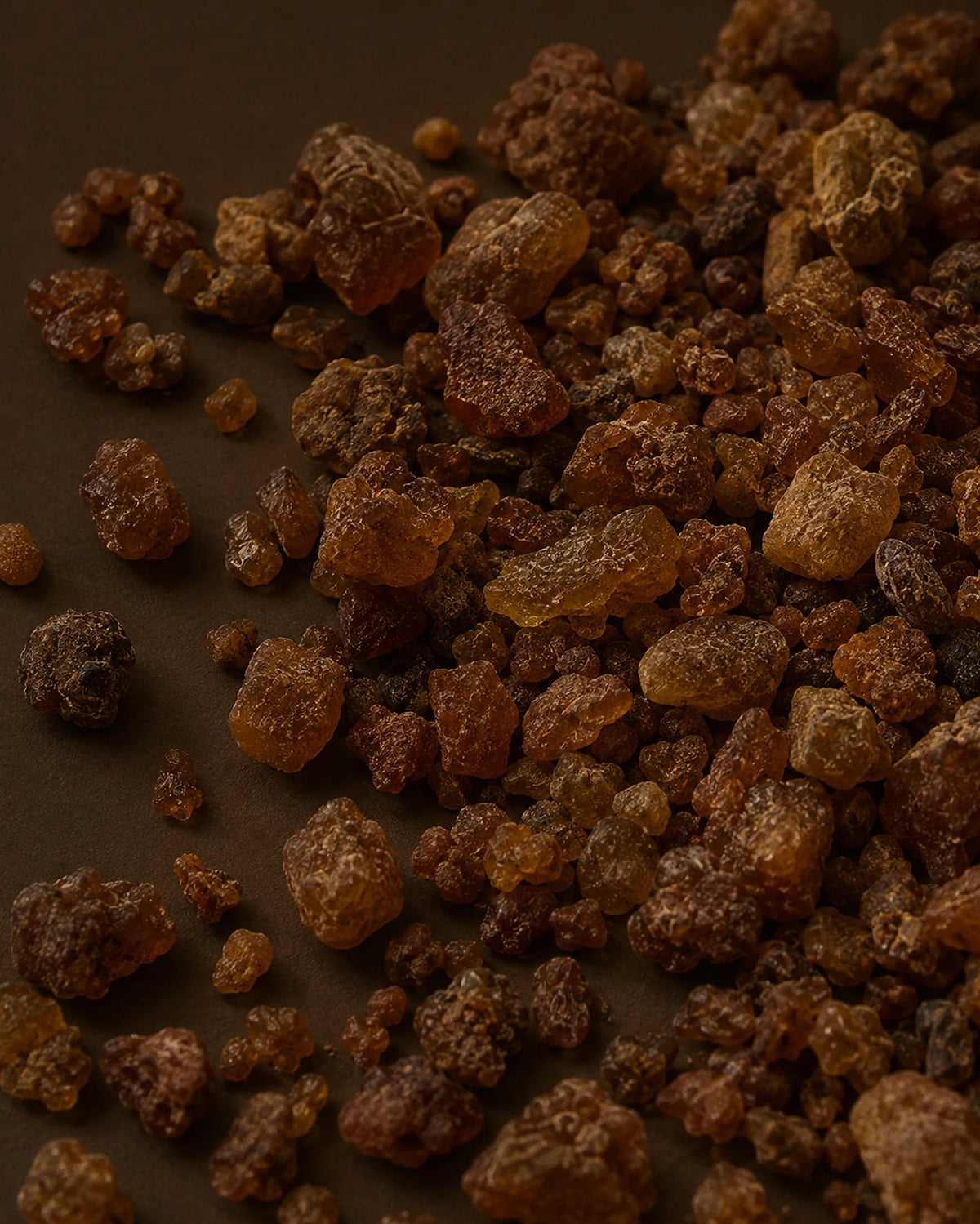 Warm + Spiced
