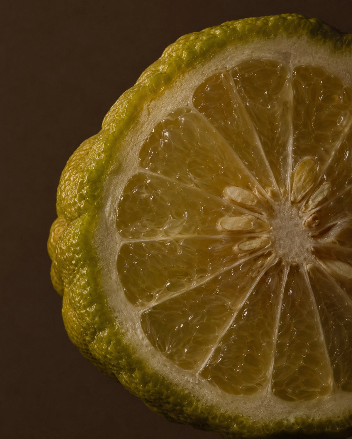 Bergamot