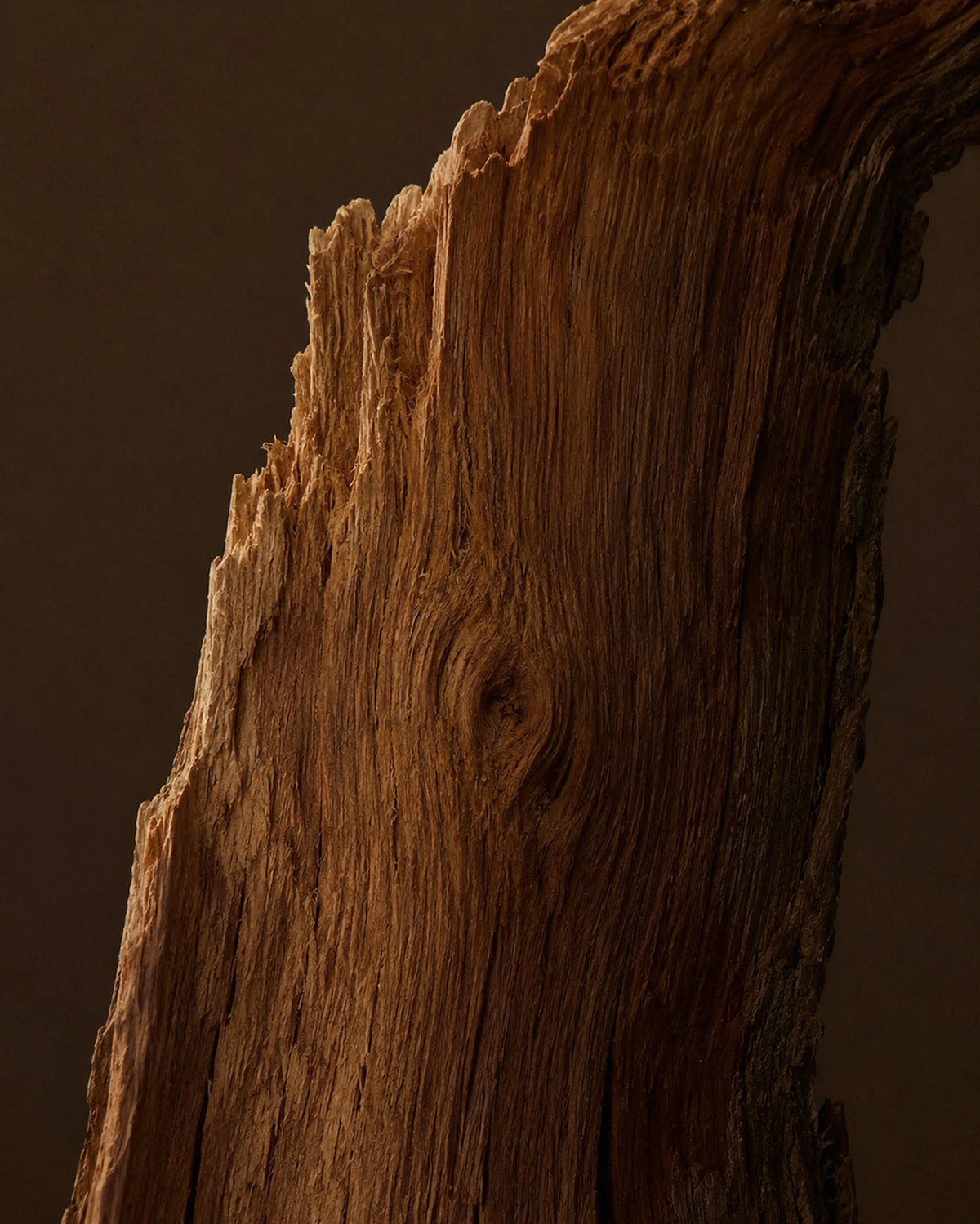 Cedarwood