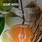Citrico Hand & Body Wash