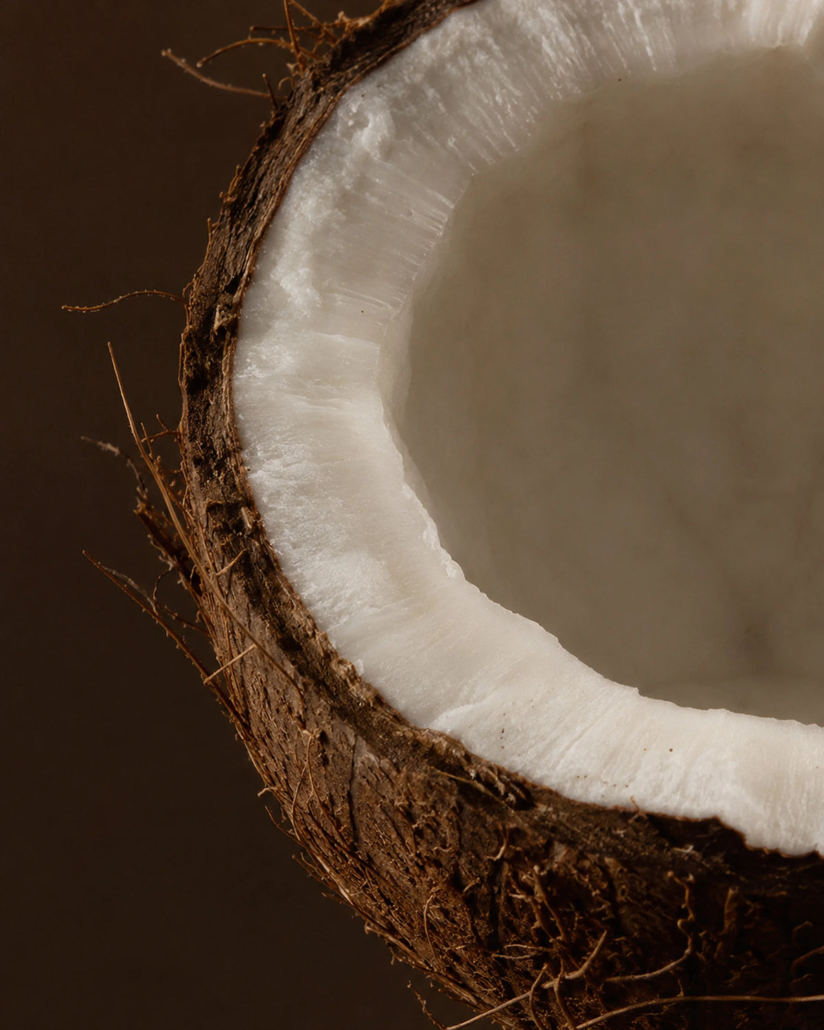 Coconut