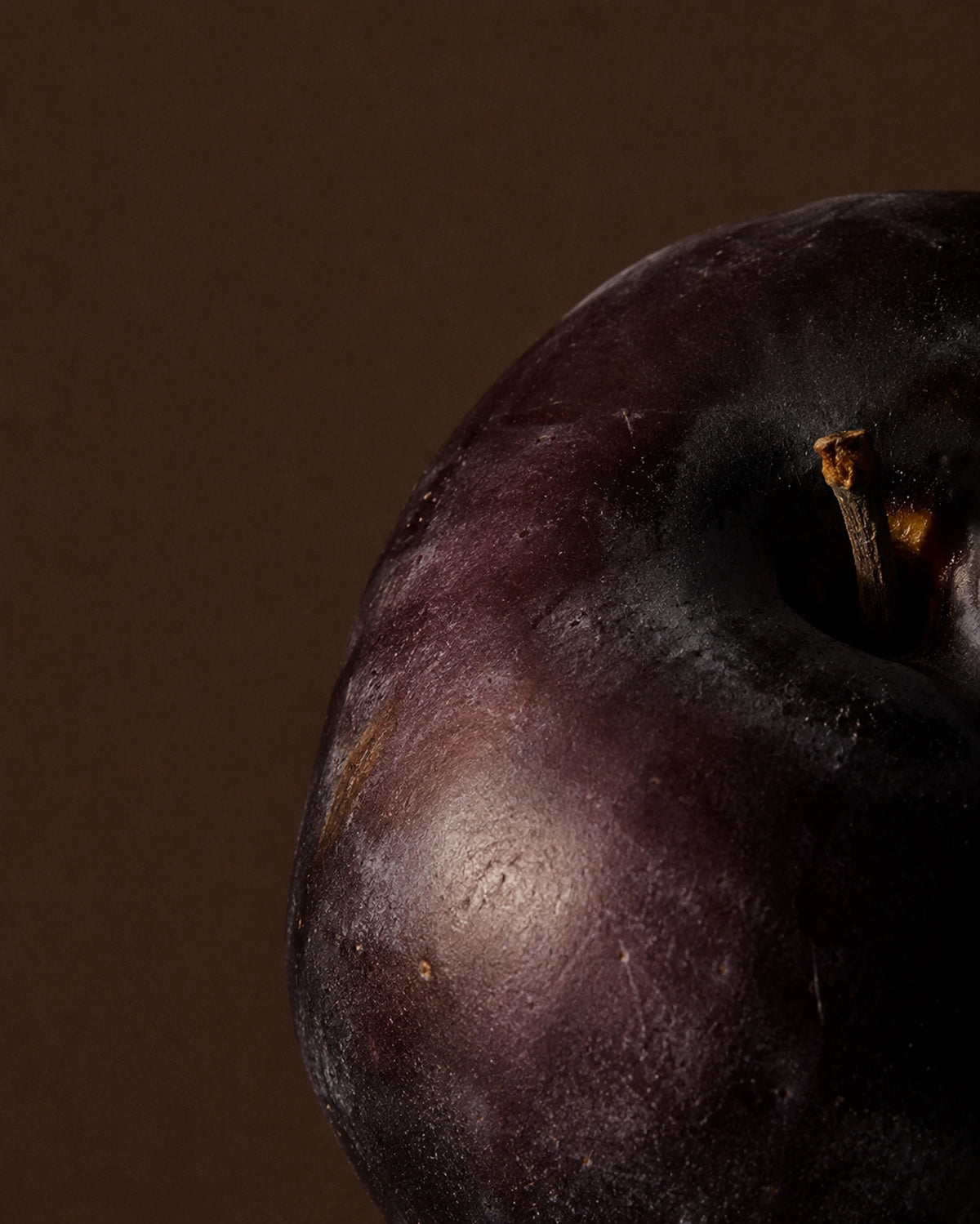 Dark Plum