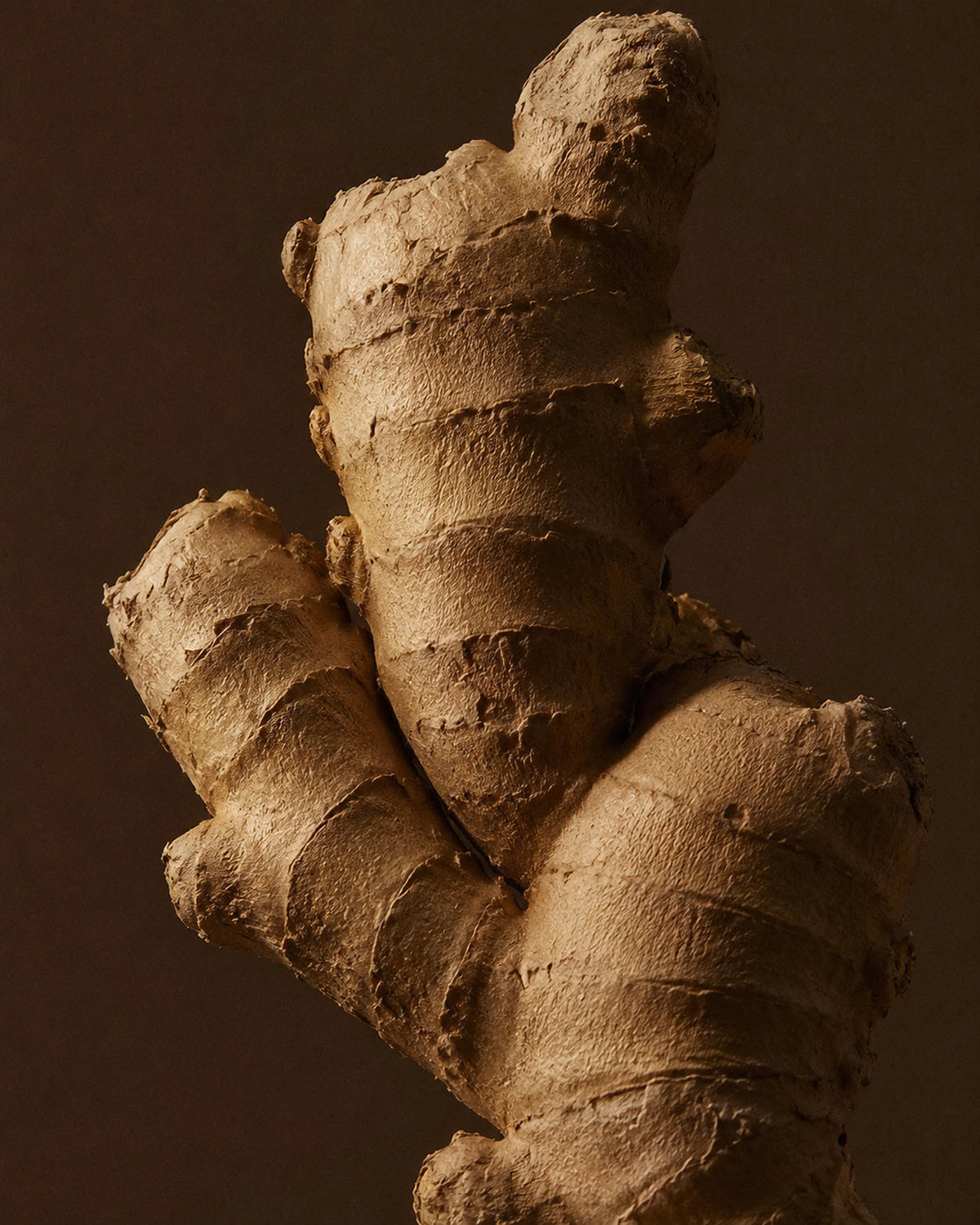 Ginger Root