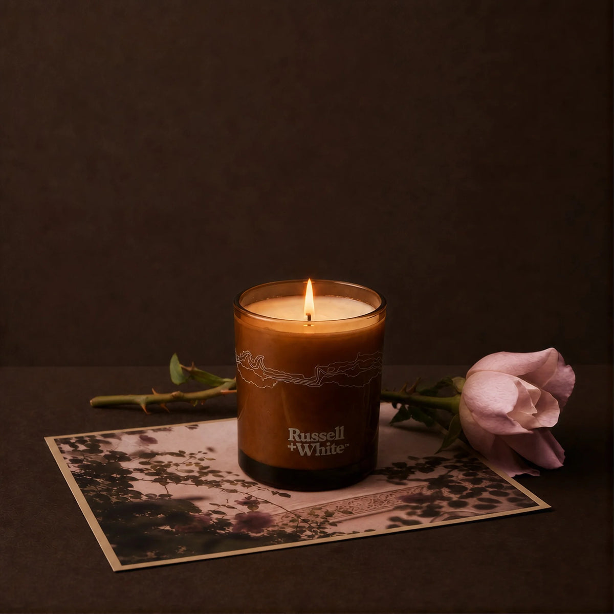 Medina Rose 250g Scented Soy Candle