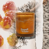 Scent Passport™ Candle Subscription