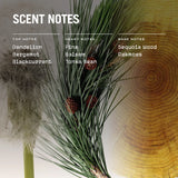 Sequoia Scented Candle