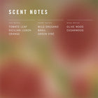 Tomato Leaves 250g Scented Soy Candle
