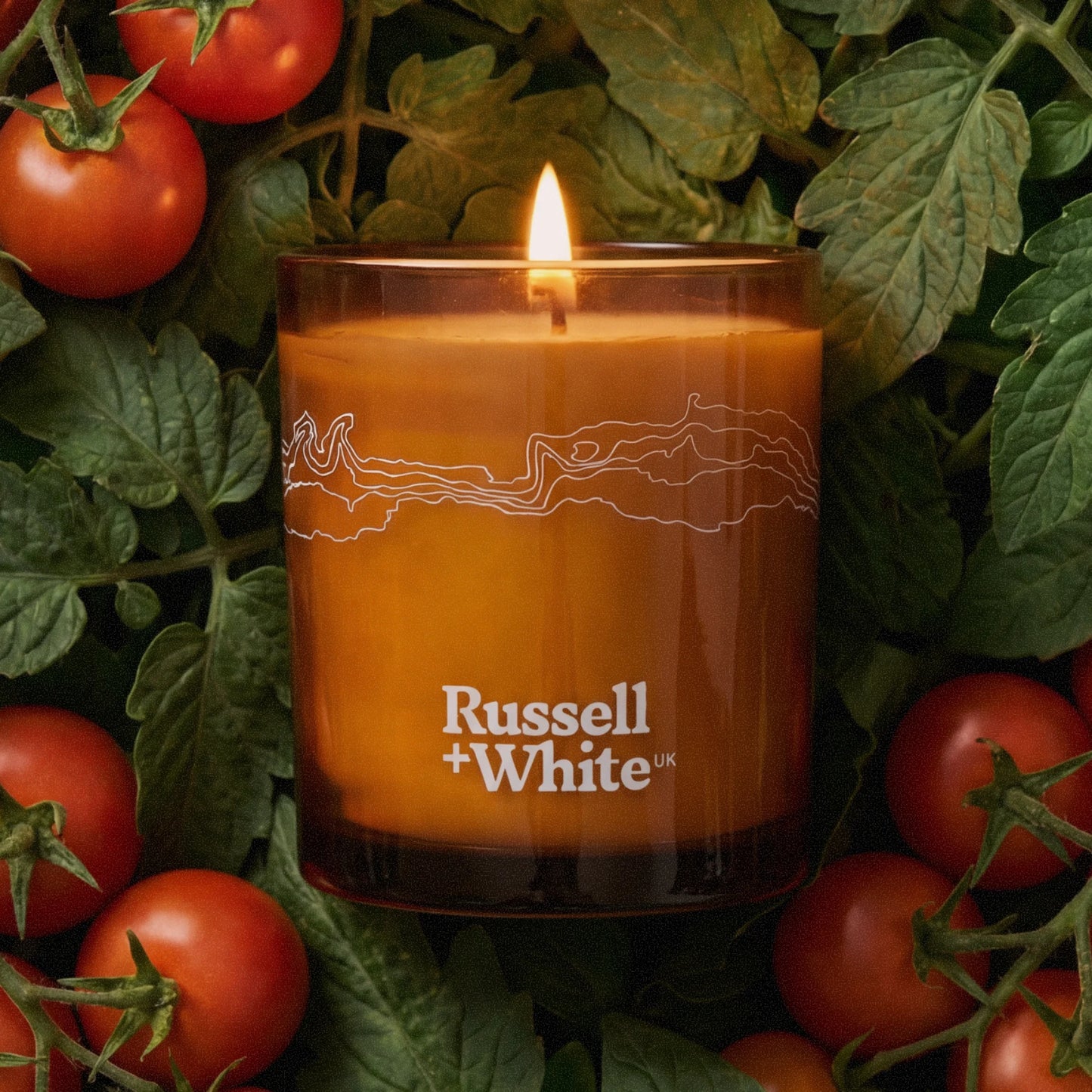Tomato Leaves 250g Scented Soy Candle