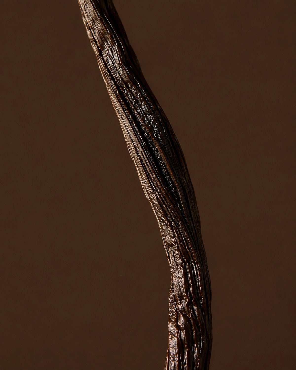 Vanilla Bean