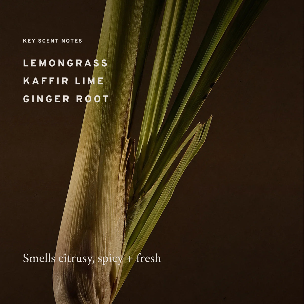 Eastern Garden — Scent Notes