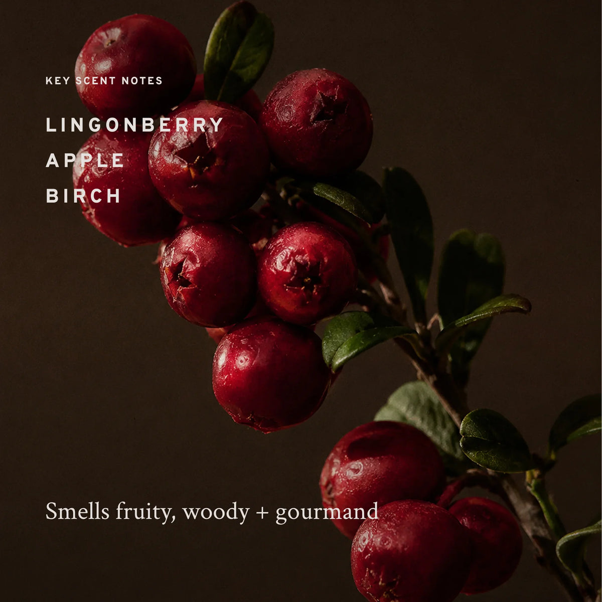 Lingonberry — Scent Notes
